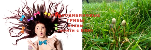 бошки Баксан