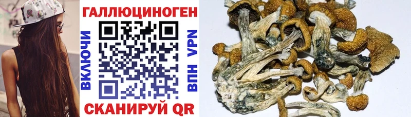 Псилоцибиновые грибы ЛСД  Уржум 