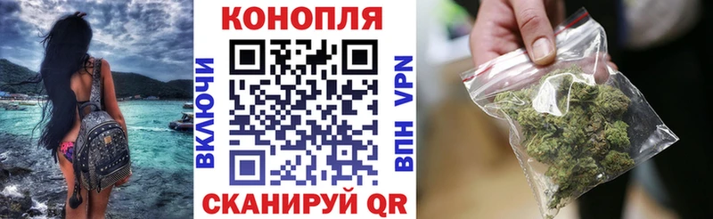 Бошки Шишки гибрид  Уржум 